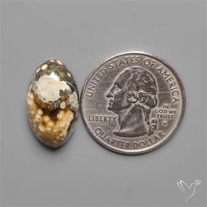 Orbicular Ocean Jasper Cabochon