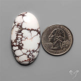 Wild Horse Jasper Cabochon
