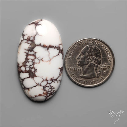 Wild Horse Jasper Cabochon