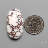 Wild Horse Jasper Cabochon
