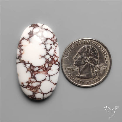 Wild Horse Jasper Cabochon