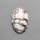Wild Horse Jasper Cabochon