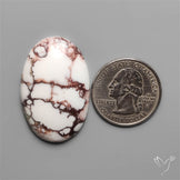 Wild Horse Jasper Cabochon