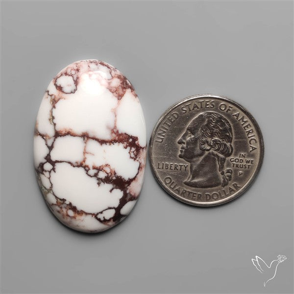 Wild Horse Jasper Cabochon