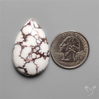 Wild Horse Jasper Cabochon