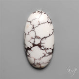 Wild Horse Jasper Cabochon