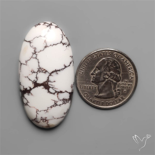 Wild Horse Jasper Cabochon