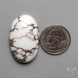 Wild Horse Jasper Cabochon