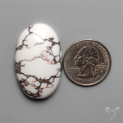 Wild Horse Jasper Cabochon