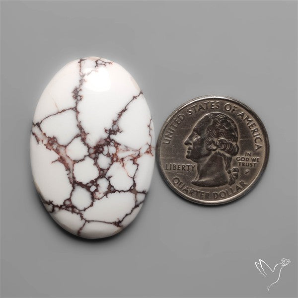 Wild Horse Jasper Cabochon
