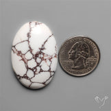 Wild Horse Jasper Cabochon