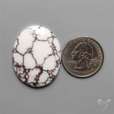 Wild Horse Jasper Cabochon