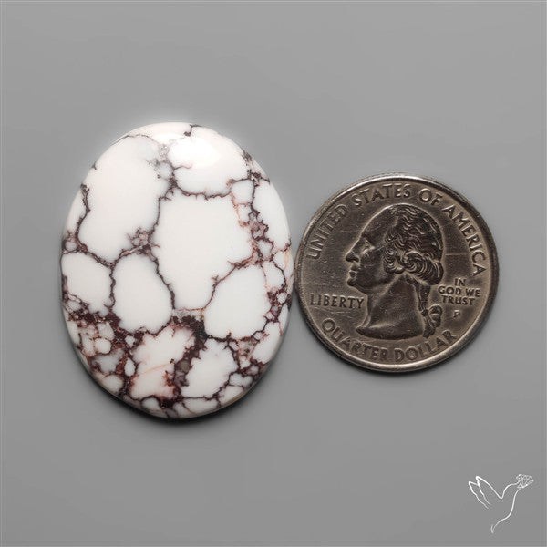 Wild Horse Jasper Cabochon
