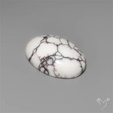 Wild Horse Jasper Cabochon