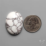Wild Horse Jasper Cabochon