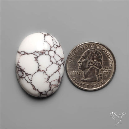 Wild Horse Jasper Cabochon