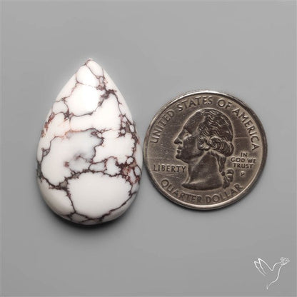 Wild Horse Jasper Cabochon