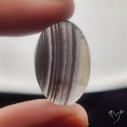 Dark Green Fluorite Cabochon with laces