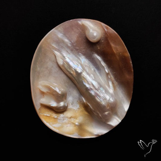 Blister Pearl Specimen
