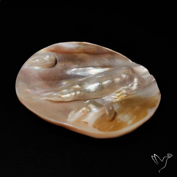 Blister Pearl Specimen
