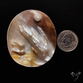 Blister Pearl Specimen