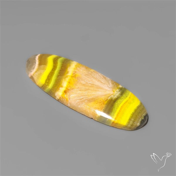 Bumble Bee Jasper