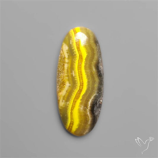 Bumble Bee Jasper