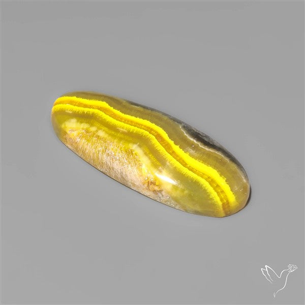 Bumble Bee Jasper