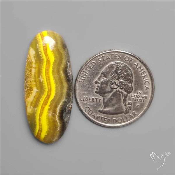 Bumble Bee Jasper