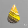 Bumble Bee Jasper