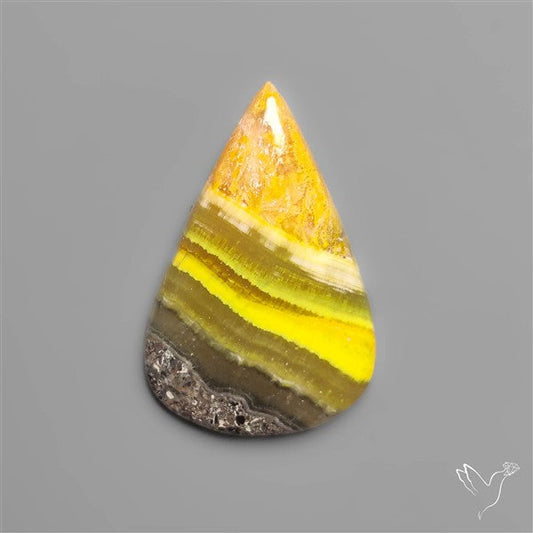 Bumble Bee Jasper