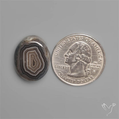Black Banded Agate