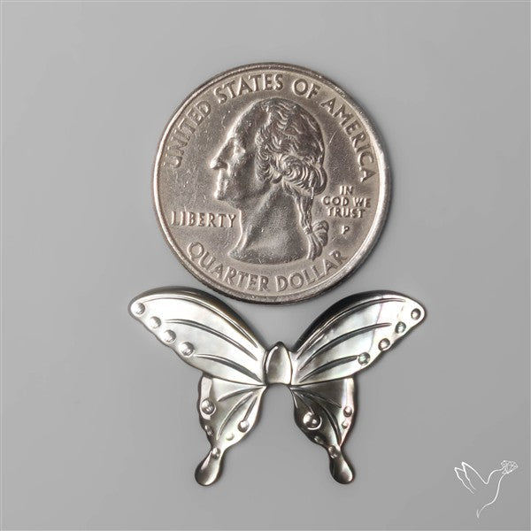 Rainbow Tahitian Mother of Pearl Butterfly Carving