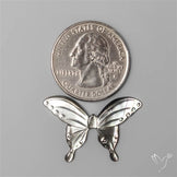 Rainbow Tahitian Mother of Pearl Butterfly Carving