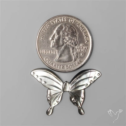 Rainbow Tahitian Mother of Pearl Butterfly Carving