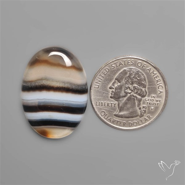 Banded Tuxedo Agate Cabochon