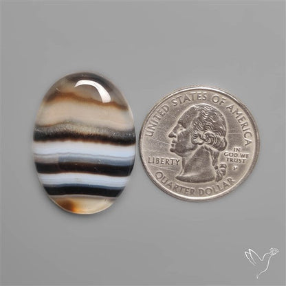 Banded Tuxedo Agate Cabochon