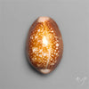 Cowrie Shell