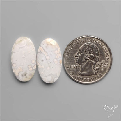 Orbicular Ocean Jaspers Pair