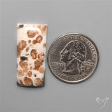 Garnet In Limestone Cabochon