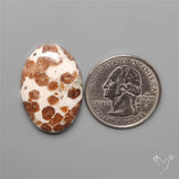 Garnet In Limestone Cabochon