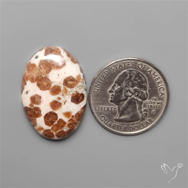 Garnet In Limestone Cabochon