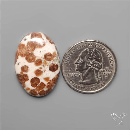 Garnet In Limestone Cabochon