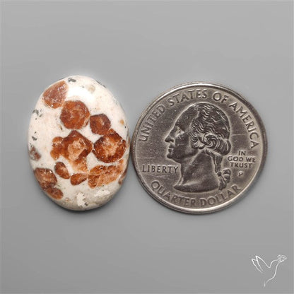 Garnet In Limestone Cabochon