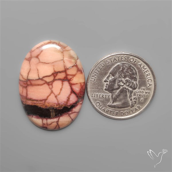Butterfly Jasper Cabochon