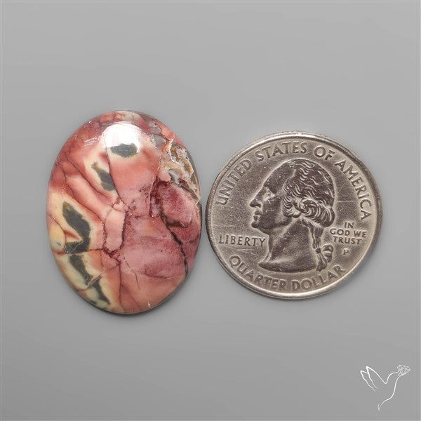 Butterfly Jasper Cabochon