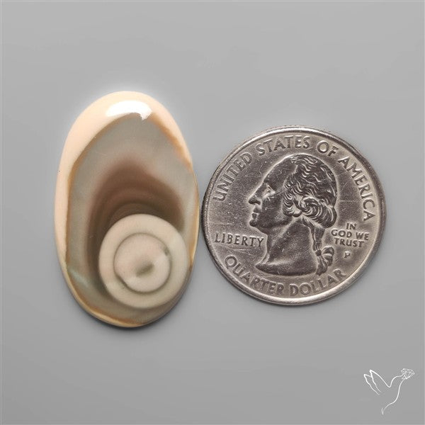 Royal Imperial Jasper Cabochon with Spiral Eye pattern