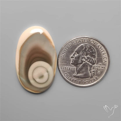 Royal Imperial Jasper Cabochon with Spiral Eye pattern