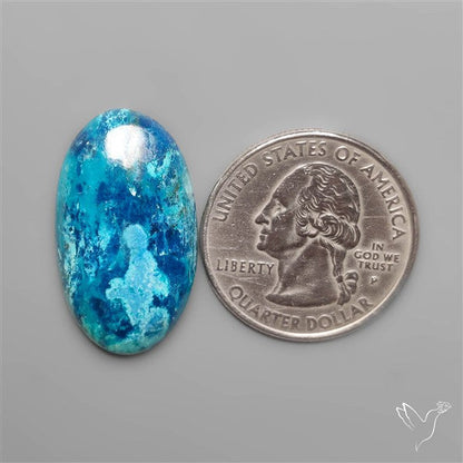 Chrysocolla Azurite Shattuckite Cabochon