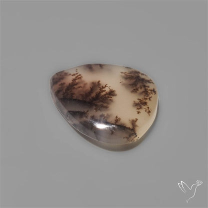 Scenic Dendritic Opal Cabochon